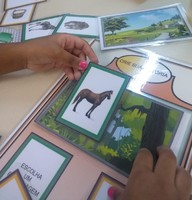 Foto arquivo pronto para imprimir